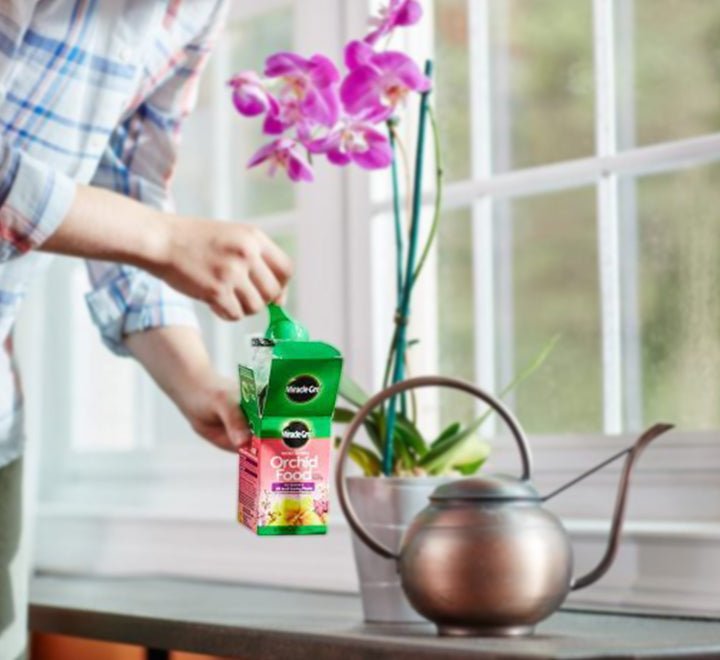 Miracle - Gro Orchid Food - Greensouq - 