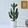 Opuntia Consolea in White Ceramic Pot 30 - 40cm - Greensouq - 