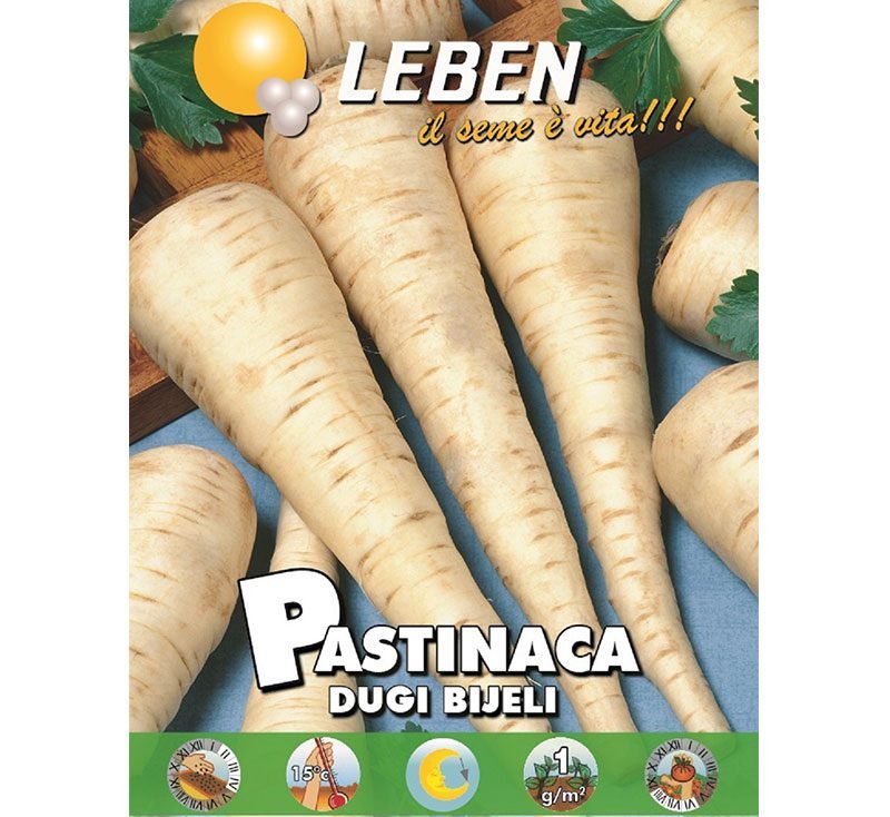 Parsnip Seeds | Parsnip Vegetable Seeds "Pastinaca Dugi Bijeli" by Leben - Greensouq -