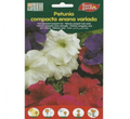 Mix Petunia Seeds | Petunia Dwarf Compact Mix Premium Quality Seeds by EuroGarden - Greensouq -