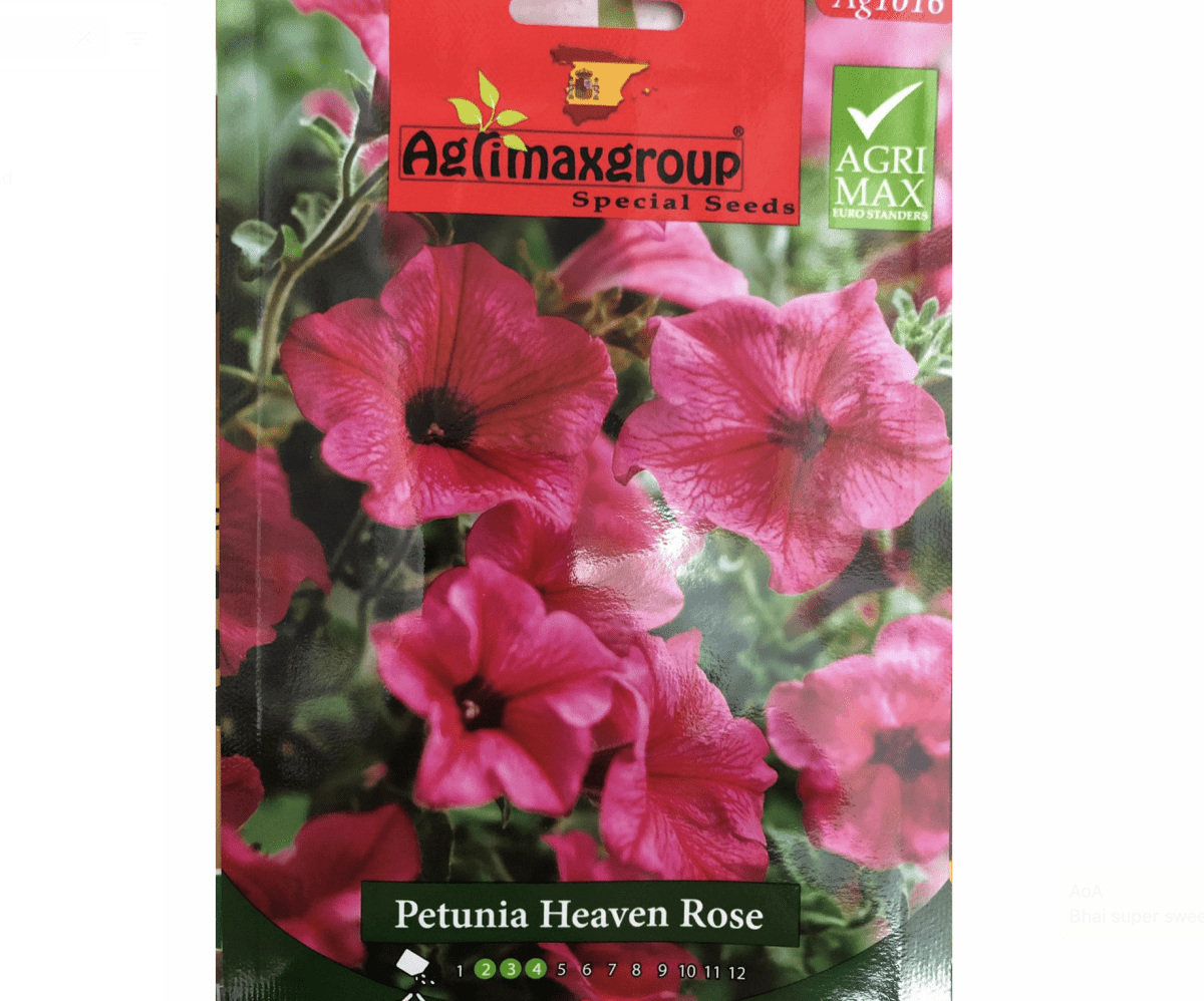 Petunia Heaven Rose Flower Seeds by Agrimax Spain - Greensouq - 