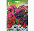 Petunia Ibrida Nana Mix Flowers Seeds - Greensouq - 