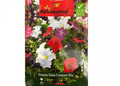 Mix Petunia Seeds | Petunia Nana Compact Mix Flower Seeds by Agrimax Spain - Greensouq -