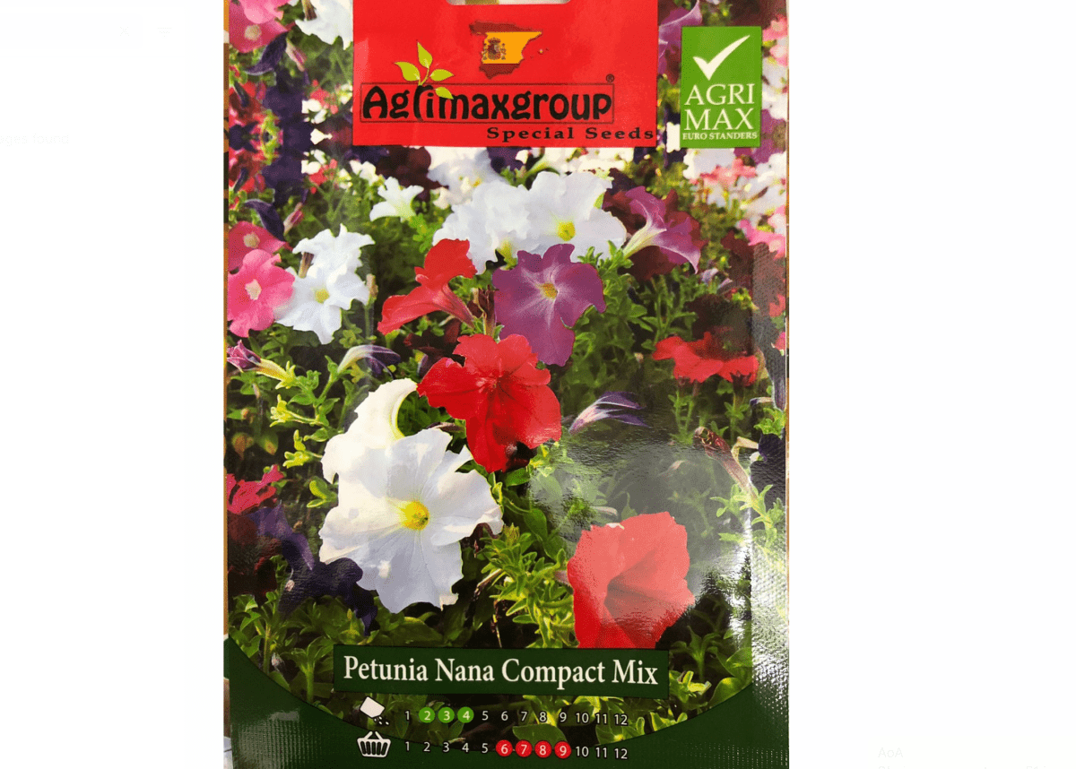 Mix Petunia Seeds | Petunia Nana Compact Mix Flower Seeds by Agrimax Spain - Greensouq -