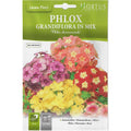 Phlox Grandiflora Seeds "Phlox Grandiflora In Mix" Premium Quality Seeds by Hortus Sementi - Greensouq -