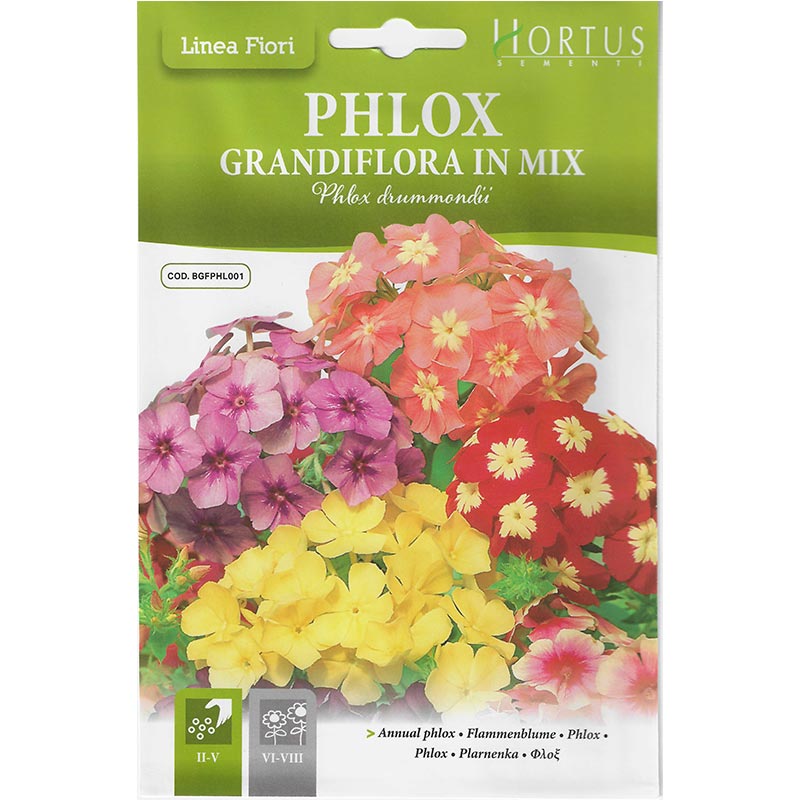 Phlox Grandiflora Seeds "Phlox Grandiflora In Mix" Premium Quality Seeds by Hortus Sementi - Greensouq -