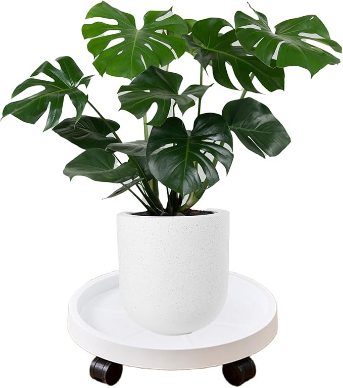 Plant Trolley with Wheels - Greensouq -