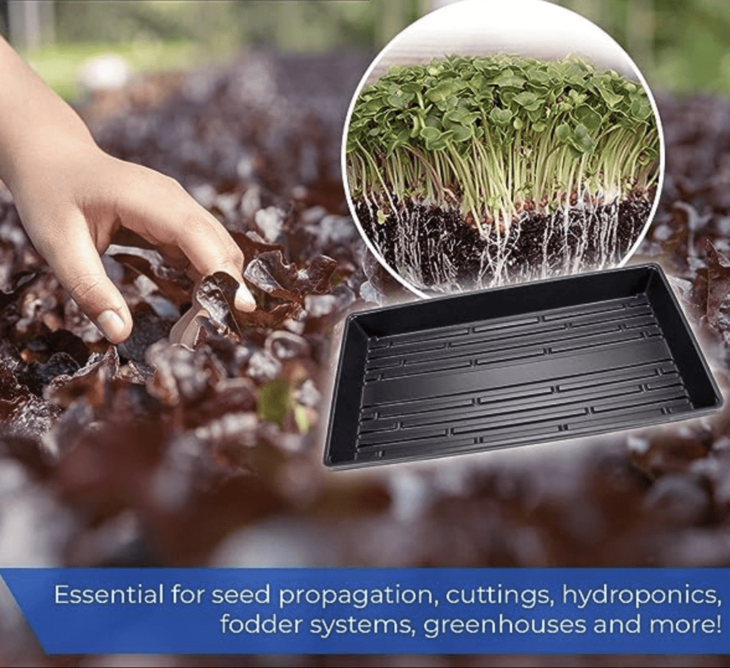 Plastic Seed Starter Tray "Plant Propagation Tray" - Greensouq - 
