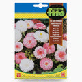 ‘Pomponette Mix’ Flower Seeds - 50mg - Greensouq - 
