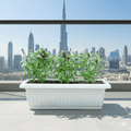 Pure Flavor Basil Grow Box - Greensouq - 