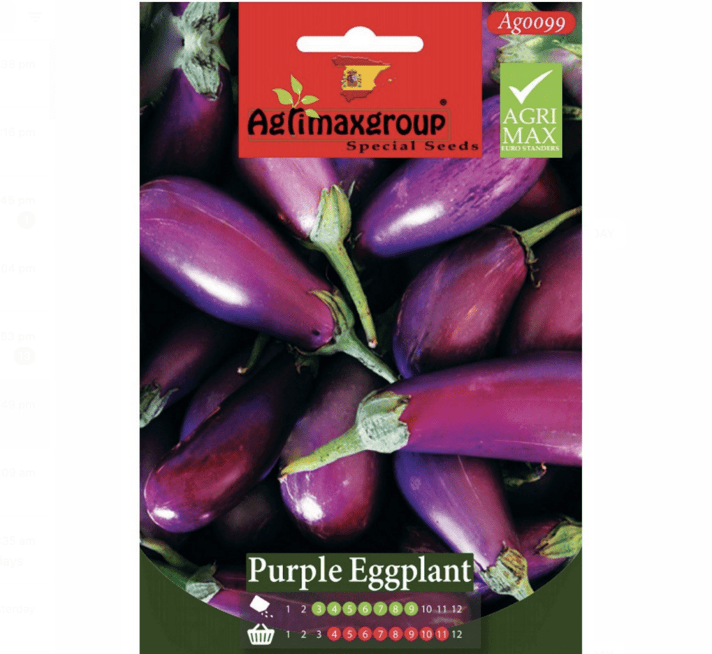Agrimax Purple Eggplant Seeds - Greensouq -