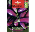 Agrimax Purple Eggplant Seeds - Greensouq -