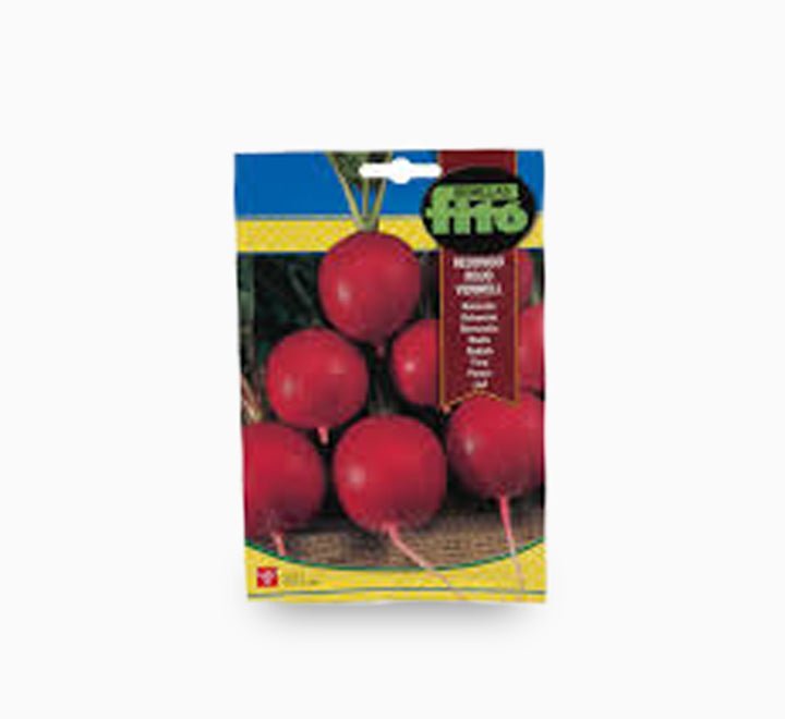 Radish Seeds Redondo Rojo Vermell 20g - Greensouq -
