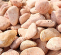 Red Forest River Stone "Natural Garden Material" - Greensouq - 