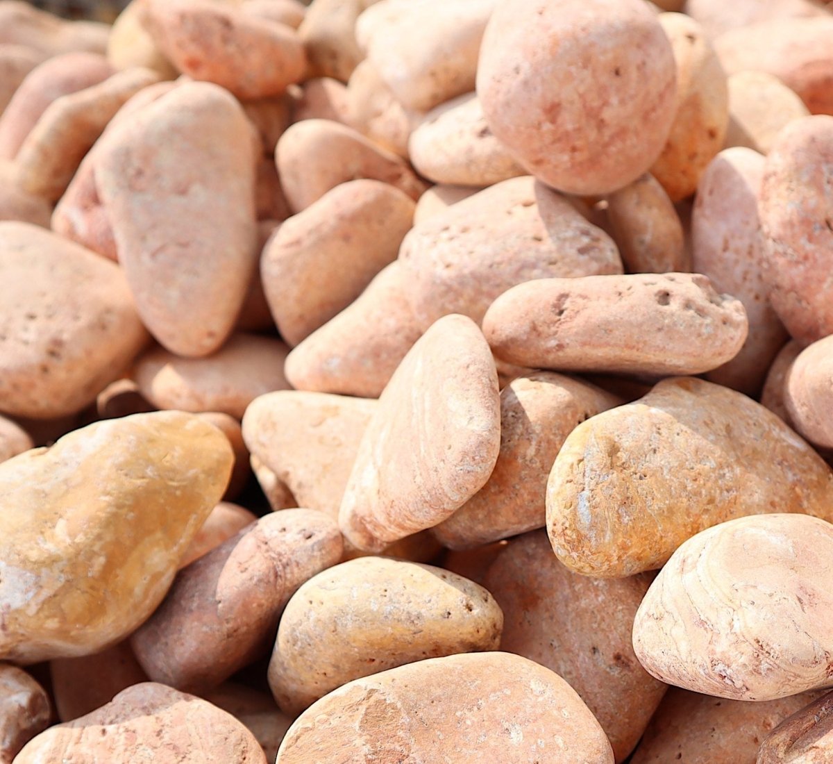 Red Forest River Stone "Natural Garden Material" - Greensouq - 