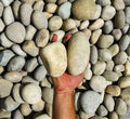 River Stone | Large River Pebbles "Natural Garden Material" - Greensouq - 