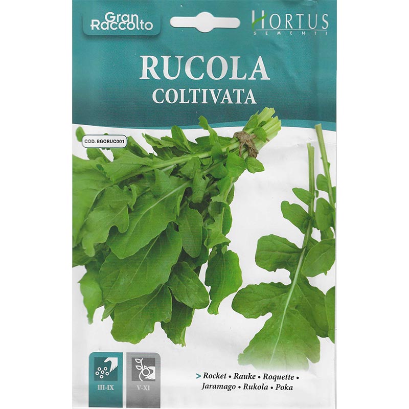 Rocket Rucola Coltivata Seeds by Hortus - Greensouq -