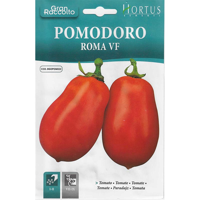 Roma Tomato seeds "Pomodoro Roma VF" Seeds by Hortus - Greensouq -