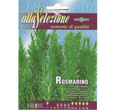 Rosemary Seeds Rosemary "Rosmarino Officinalis" Seeds by Alta Selezione - Greensouq -