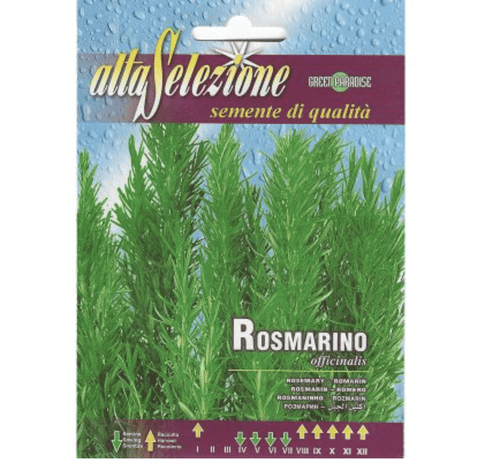 Rosemary Seeds Rosemary "Rosmarino Officinalis" Seeds by Alta Selezione - Greensouq -