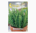 Rosmarino or Rosmary Seeds - Greensouq - 