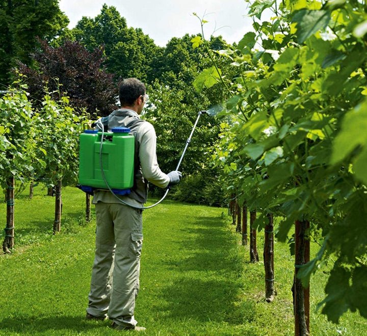 Rosy Sprayer Pump 12L - Greensouq - 