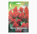 Salvia Splendida Mezza Nana Mix Flowers Seeds - Greensouq - 