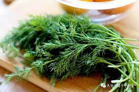 Herbs Seed Bundle | By Agrimax- Greensouq -