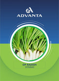 Spinrad OP Radish Seeds 5g - Greensouq - 