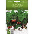 Strawberry Seeds "Fragole Rampicanti" Seeds by Hortus - Greensouq -