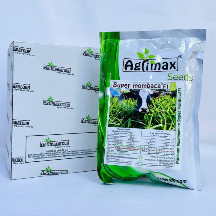 Super Mombaca Seeds F1 200K Premium Quality Seeds 330gram pack - Greensouq -