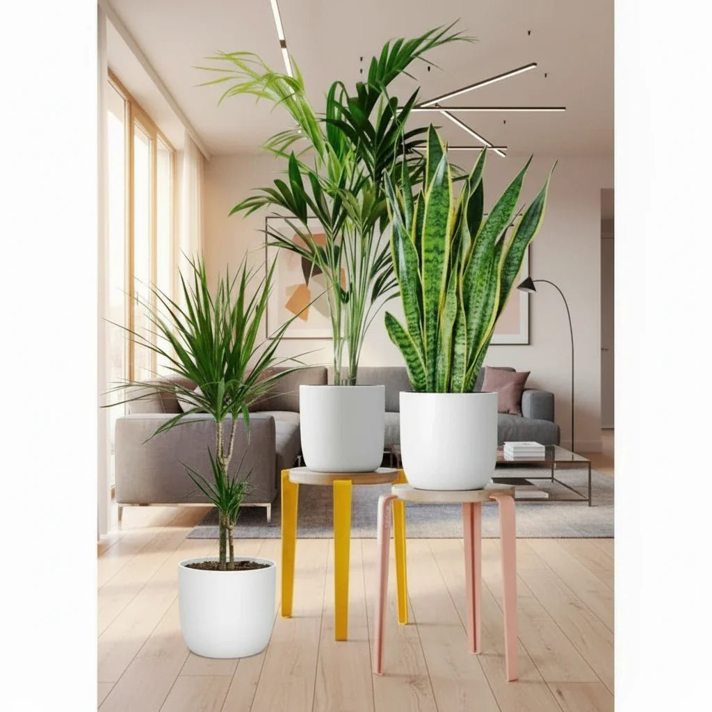 Tall Plants Bundle - Greensouq - 