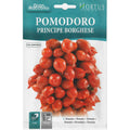 Pomodoro Principe Borghese tomato Seeds by Hortus - Greensouq -