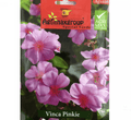 Vinca Pinkie Flower Seeds by Agrimax Spain - Greensouq - 