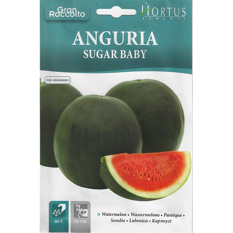 Sugar Baby Watermelon Seeds "Anguria Sugar Baby" Seeds by Hortus - Greensouq -