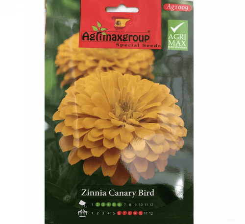 Canary Bird Seeds | Zinnia Canary Bird Flower Seeds by Agrimax Spain - Greensouq -