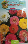 mix Zinnia Fiordalia Seeds by CANESTRO - Greensouq -